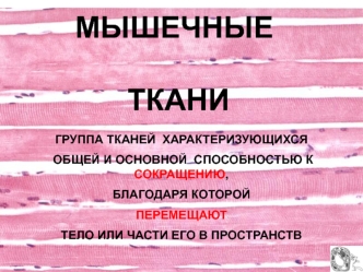 Мышечные ткани. Классификация