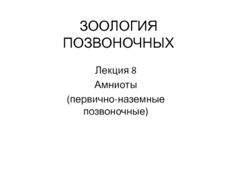 Зоология позвоночных. Амниоты, первично-наземные позвоночные. (Лекция 8)