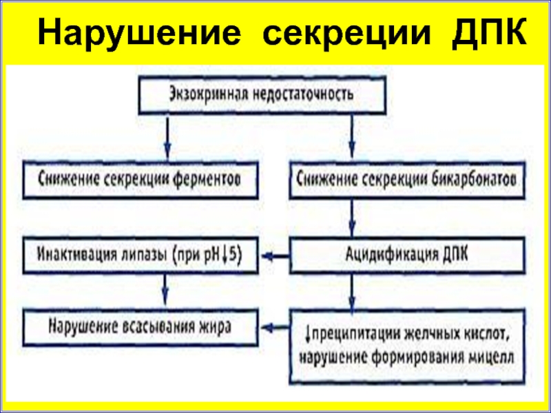 Нарушение секреции. Типы нарушений панкреатической секреции. Нарушение внутренней секреции поджелудочной железы. Синдром нарушения внешней секреции поджелудочной. Нарушение секреции поджелудочной железы.