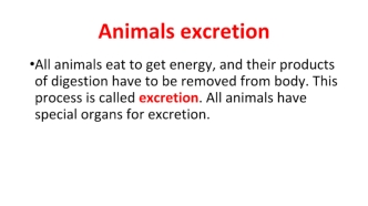 Animals excretion