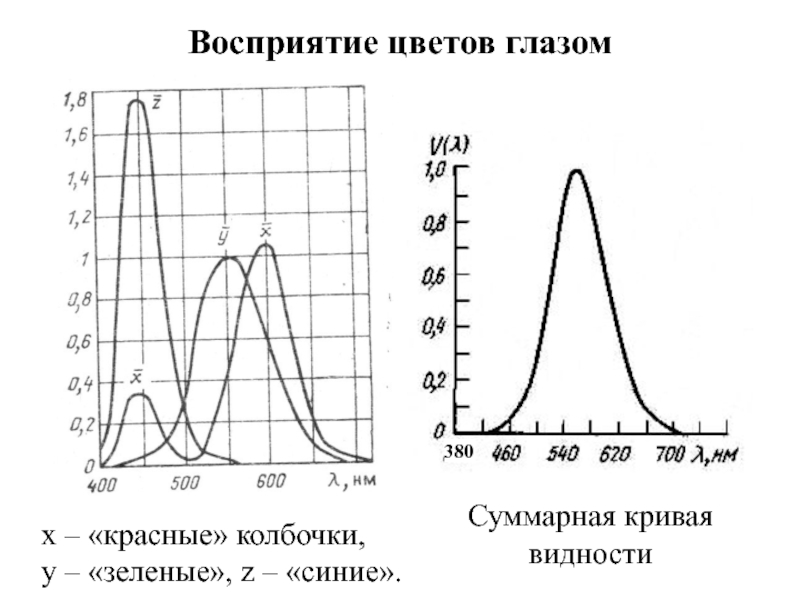 Восприятие цветов глазом x – «красные» колбочки, y – «зеленые», z –