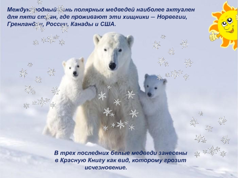 Белые дни в феврале. 27 Февраля Международный день белого медведя. День белого медведя. Всемирный день белого медведя. День полярного медведя.