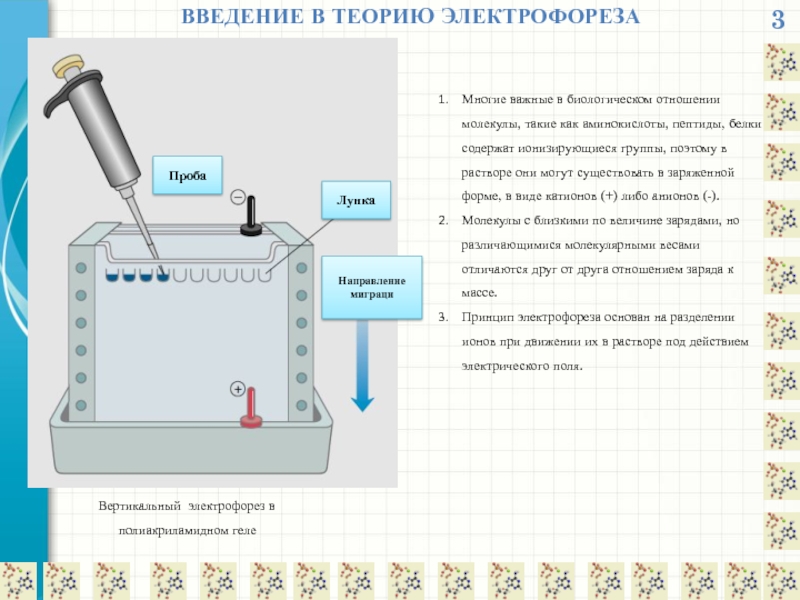 Схема капиллярного электрофореза