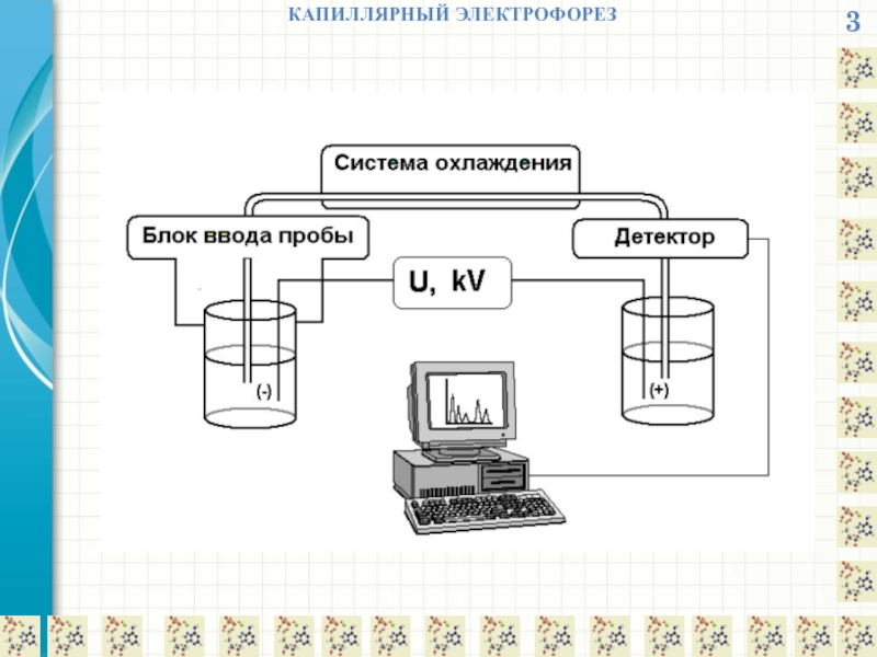 Капиллярный электрофорез презентация