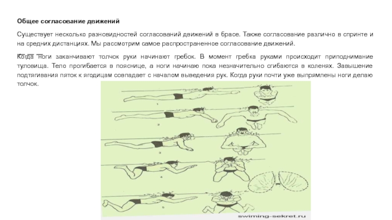 Согласование движений. Средняя скорость плавания брассом. Для согласования движений и дыхания существует одно общее правило. Средняя скорость при плавании брассом. Способ человека согласовывать движения различных частей тела.