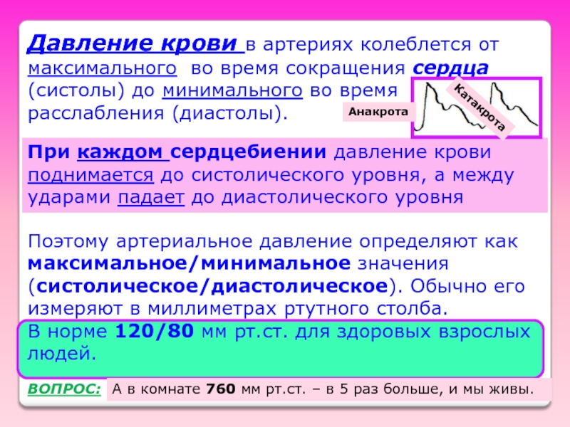 Максимальное давление. Давление крови. Давление крови в артериях. Какое давление в артериях. Максимальное давление крови.