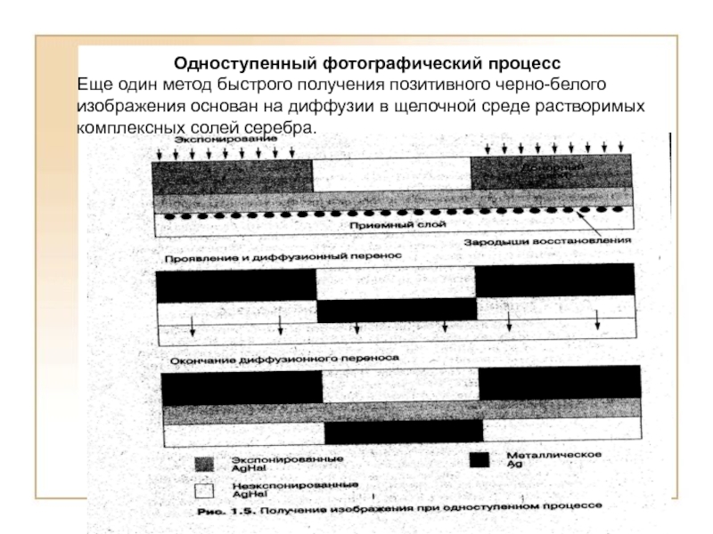 Оптическая плотность изображения на черно белых фотоотпечатках при визуальном анализе