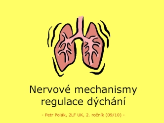 Nervové mechanismy regulace dýchání