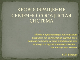 Кровообращение. Сердечно-сосудистая система