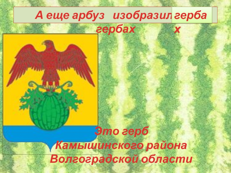 Город шуя герб что изображено. Герб Камышинского района. Флаг Камышинского района. Герб Камышинского района Волгоградской области. Флаг Камышинского района Волгоградской области.