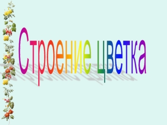 Строение цветка