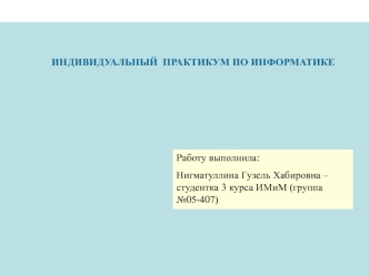 Индивидуальный практикум по информатике