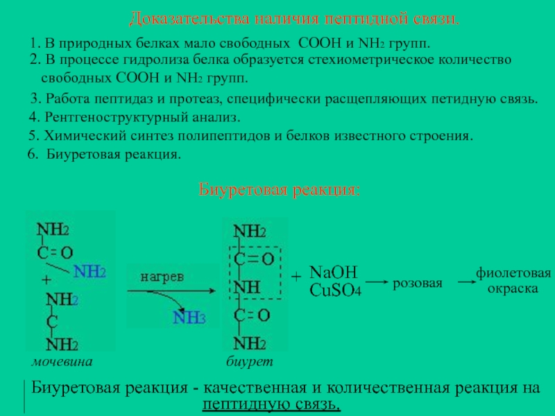 Наличие белков. Как доказывается наличие пептидных связей в белках. Доказательство наличия пептидной связи. Докажите в белке наличие пептидной связи. Наличие пептидной связи доказать.