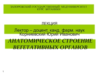 Анатомическое строение вегетативных органов