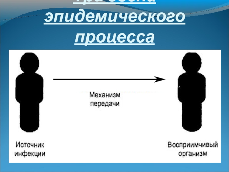 3 звена эпидемического процесса