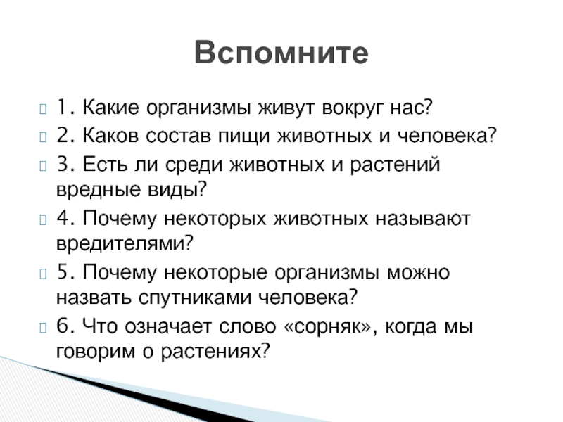 Почему природу называют живой