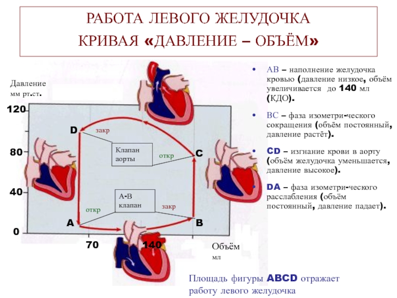 Наполнения ад. Диаграмма давления и объема крови для желудочков сердца. Ударный объем левого желудочка. Ударный объем левого желудочка и правого желудочка сердца. Объем сердечного выброса левого желудочка.