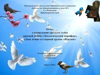 Отчет о проведении третьего этапа краевой акции Экологический марафон. День птиц в старшей группе Пчелки