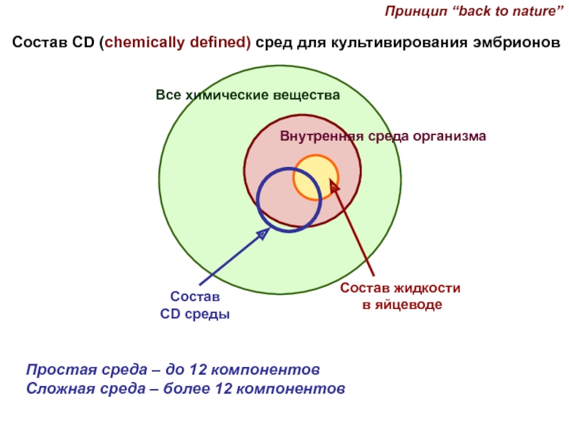 Из каких компонентов состоит среда. Среда для культивирования эмбрионов. Эмбрионы в питательной среде. Простые среды. Life Global среды до культивирования эмбрионов.