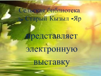 Сельская библиотека д. Старый Кызыл-Яр представляет электронную библиотеку