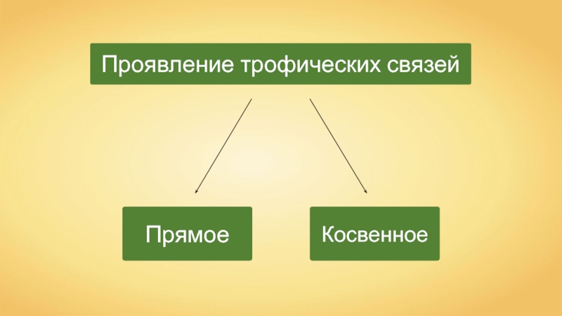 Презентация на тему взаимосвязь компонентов биоценоза и их приспособленность друг к другу 7 класс