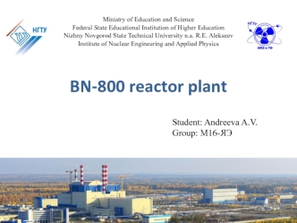 BN-800 reactor plant