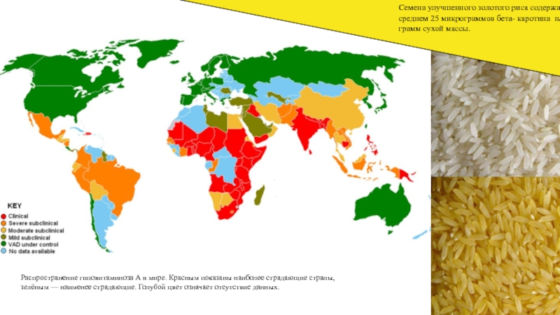 Территория распространения. Распространение ГМО В мире. Карта распространения ГМО В мире. Статистика гиповитаминоза по России. Страны красной и зеленой воз.