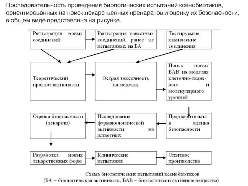 Проведение биология. Виды биологических испытаний. Биологическое испытание лекарственных средств. Биологическая активность ксенобиотиков. Порядок проведения биологического опыта.