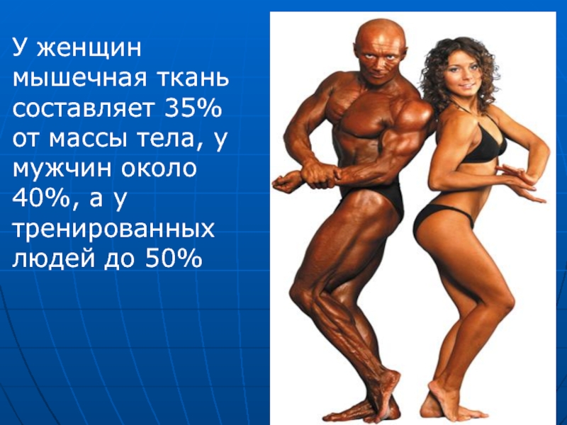 У женщин мышечная ткань составляет 35% от массы тела, у мужчин