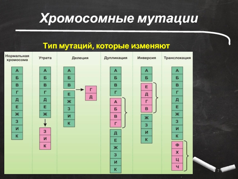 Изменение строения хромосом вид мутации. Хромосомные мутации примеры. Виды хромосомных мутаций. К какому типу мутаций относится делеция. Виды химических мутаций.