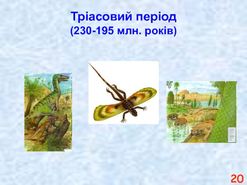 Тріасовий період (230-195 млн. років)
