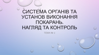 Система органів та установ виконання покарань. Нагляд та контроль