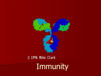 Immunity. Koch’s Postulates
