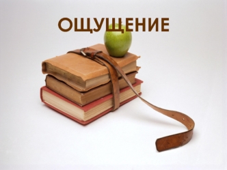 Ощущения. Процесс возникновения ощущений