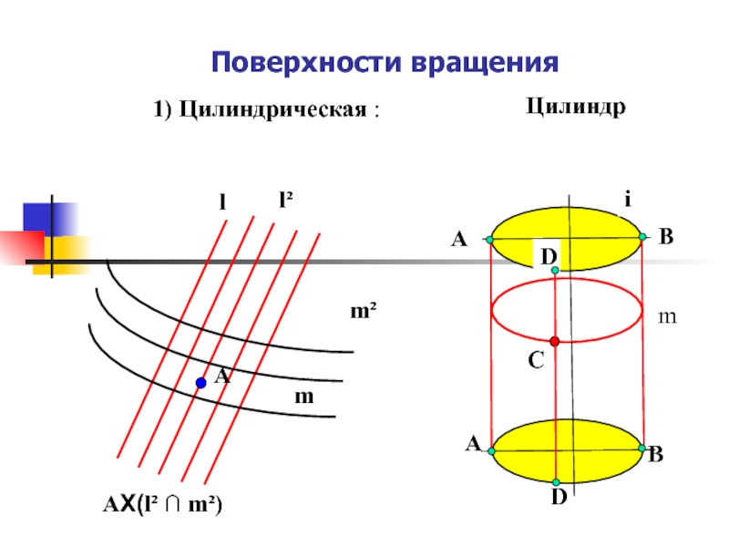 Образование поверхностей. Цилиндрическая поверхность вращения.