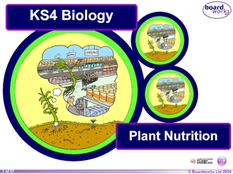 KS4 Plant Nutrition. Plant Nutrition
