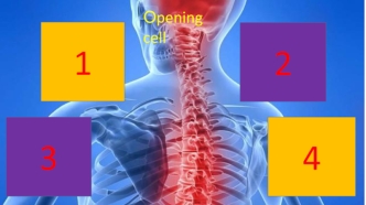 The central nervous system