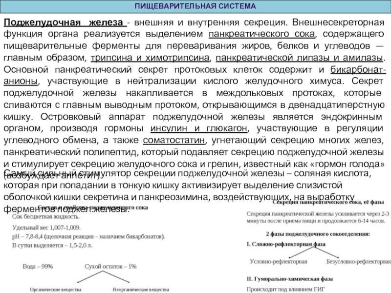 Образец сидерита основная часть которого feco3 содержит 40