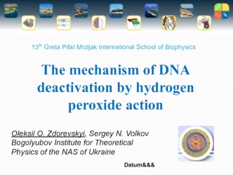 The mechanism of DNA deactivation by hydrogen peroxide action