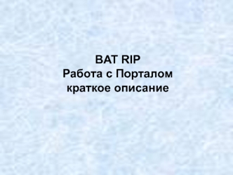 BAT RIP. Работа с порталом. Краткое описание