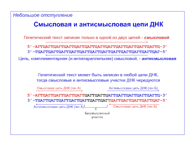 Участок смысловой цепи молекулы днк. Смысловая и антисмысловая ДНК. Смысловая и антисмысловая цепь. Смысловая и антисмысловая цепь ДНК. Смысловая цепочка ДНК.