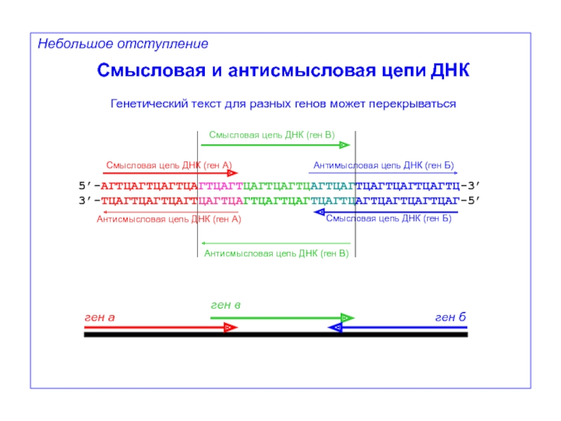 Цепь смысловая нижняя транскрибируемая. Смысловая и антисмысловая ДНК. Антисмысловая цепь ДНК. Смысловая цепь ДНК. Определить смысловую и антисмысловую цепи ДНК на ЕГЭ.