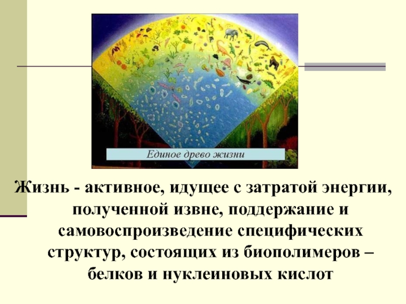 Представлений о сущности жизни. Сущность жизни и уровня организации живого. Сущность жизни, свойства и уровни организации живого. Сущность жизни и свойства живого уровни организации живого. Сущность уровня живой организации.