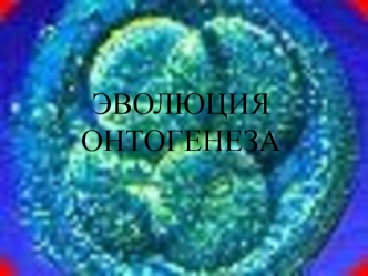 Эволюция онтогенеза