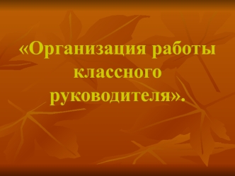 Организация работы классного руководителя