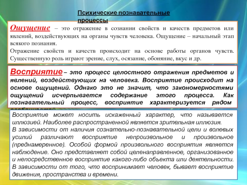 Отражение свойства познаваемого объекта возможность корректировки