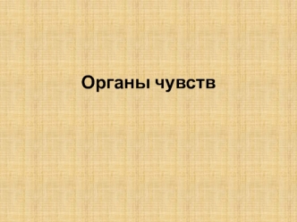 Органы чувств