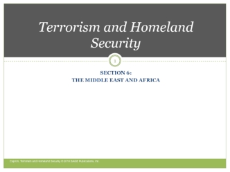 Terrorism and Homeland Security. The middle east and africa