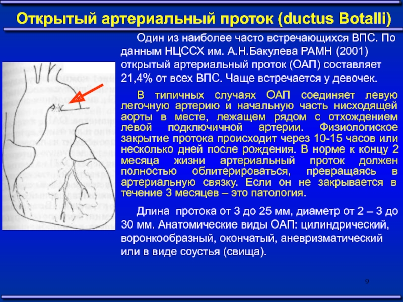 Открытый артериальный проток. Артериальная связка боталлов проток. Закрытие артериального протока. Закрытие открытого артериального протока. Открытый артериальный проток закрытие.