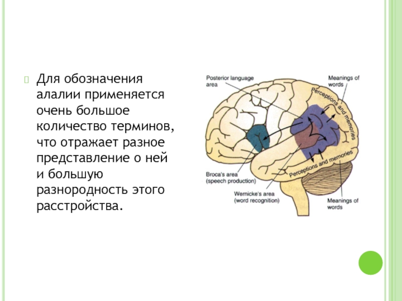 Оптическая алалия презентация